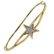Stainless Steel Gold Pvd Bangle w/ Mother of Pearl Star Accent