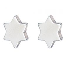 Stainless Steel Earrings- Star Shape