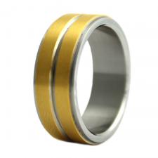 Stainless Steel Ring with Two Gold PVD Bands