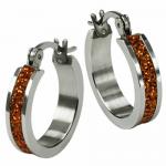 Stainless Steel Hoop Earrings With Glitter Center -- 4mm wide 
