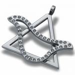 Gorgeous Stainless Steel Star of David with Jeweled Dove - Judaica and Kabbalah