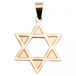 Stainless Steel Gold PVD Star of David Jewish Pendant