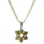 Stainless Steel Two Tone Necklace with Star of David Pendant